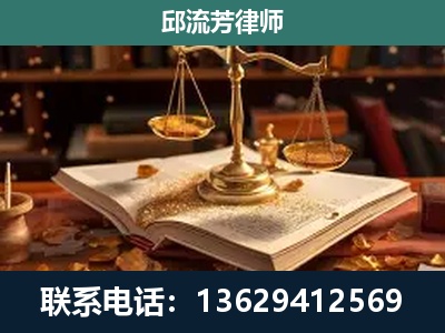 凤山-刑事案件